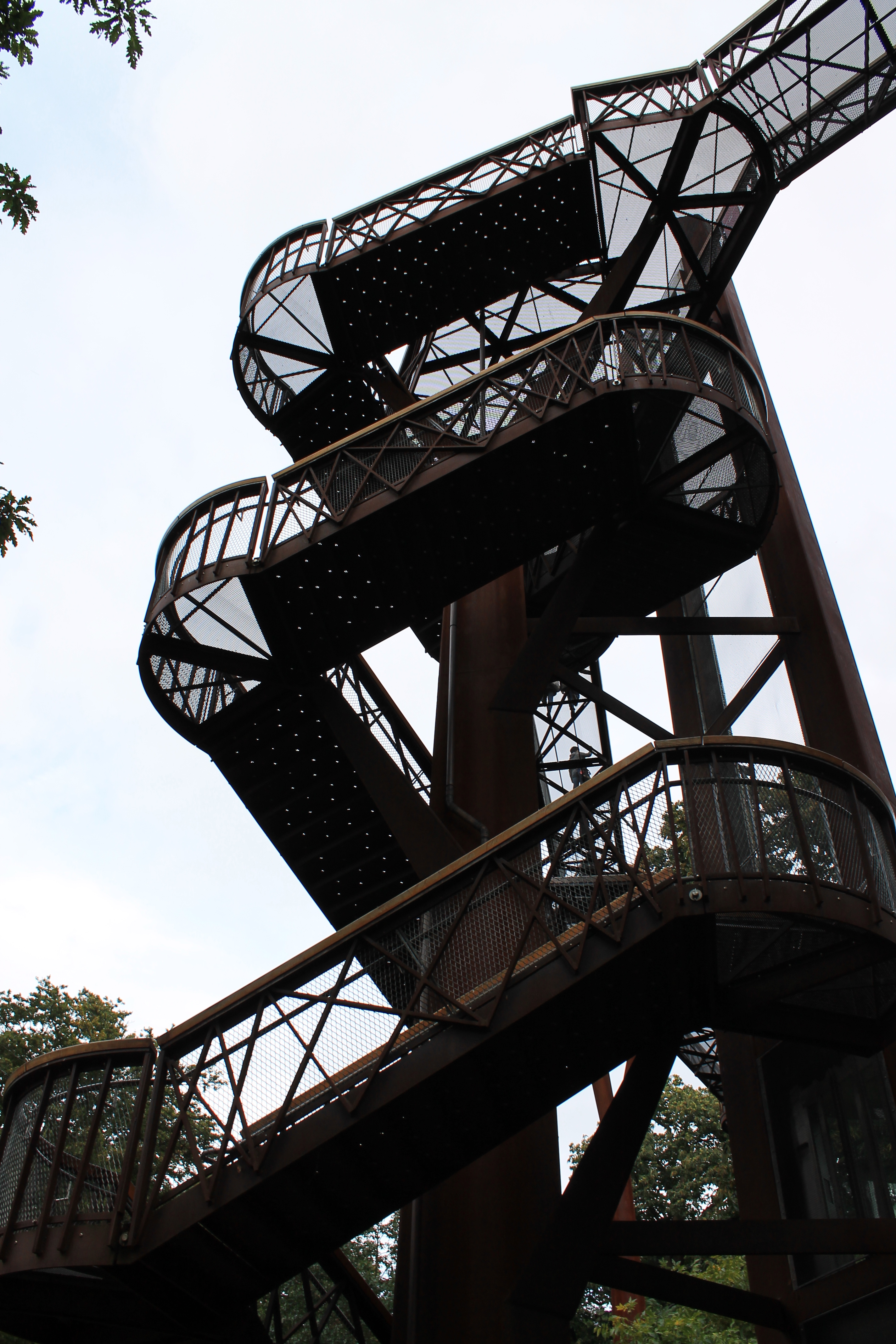 Treetop walkway, Kew Gardens.