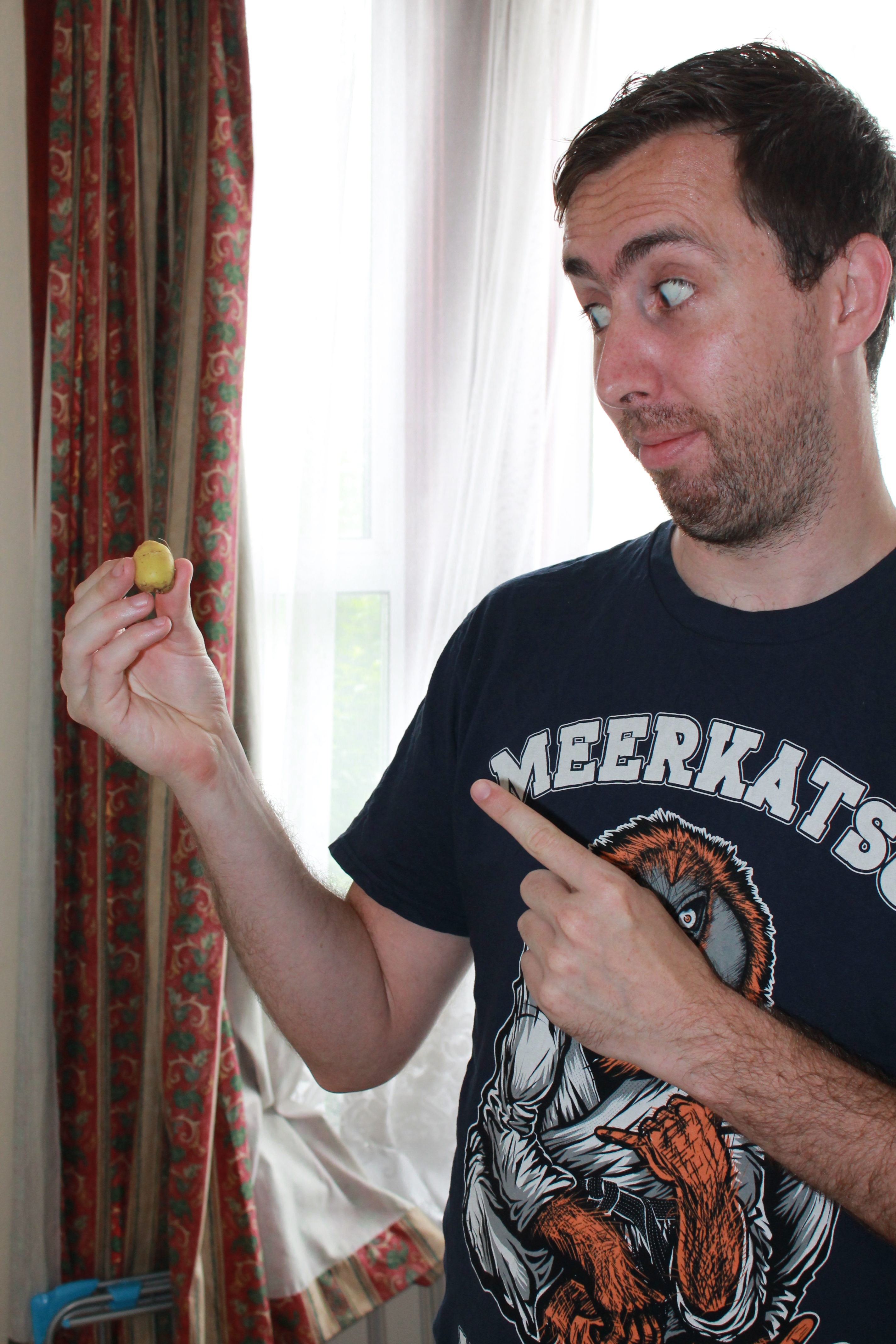 The biggest potato in the world!!!!