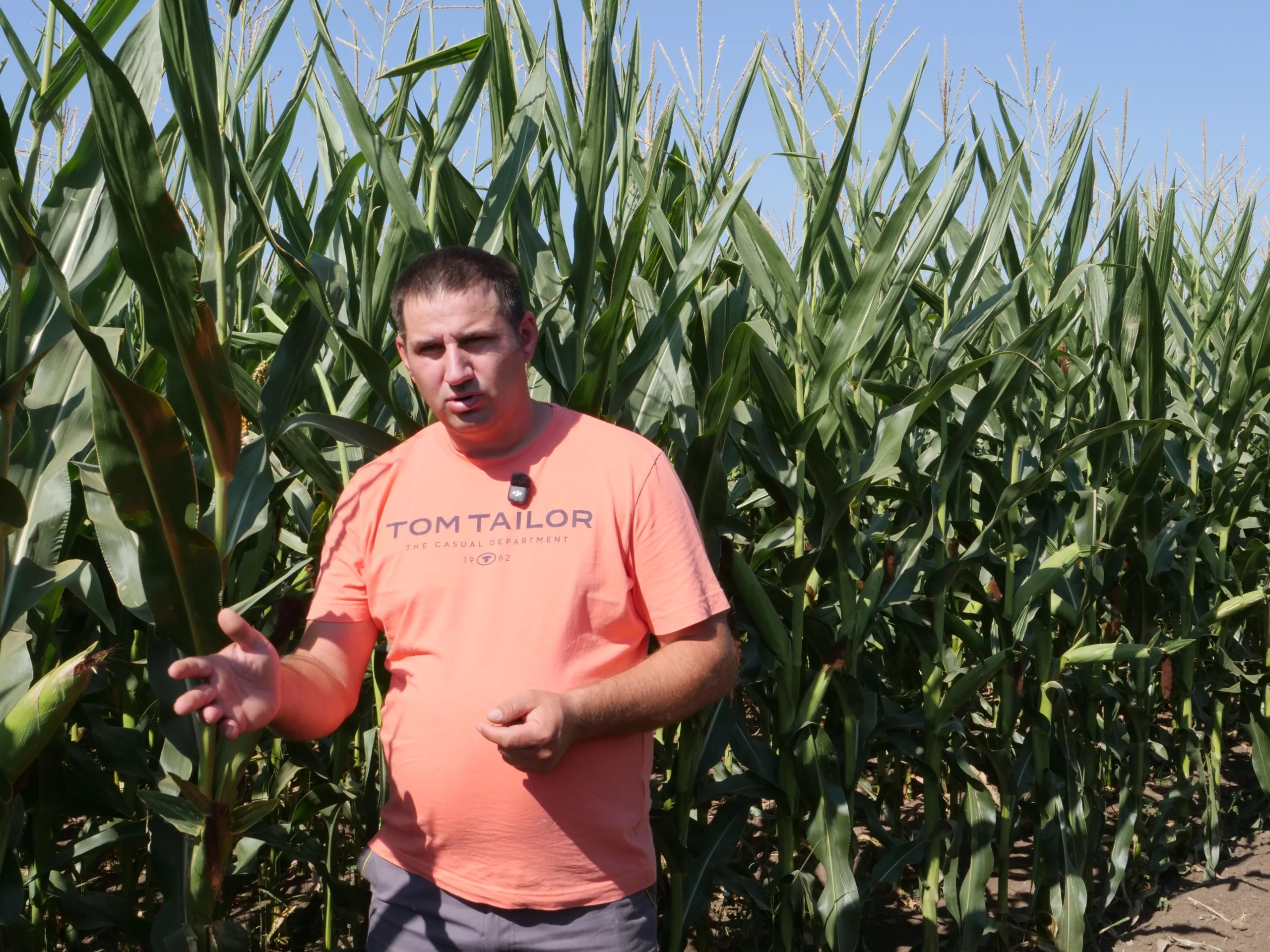 Cosmin Micu: bilanţul campaniei de vară: cea mai mică producţie de rapiţă din ultimii 20 de ani. Urmează 5 ani fără investiţii în maşini agricole