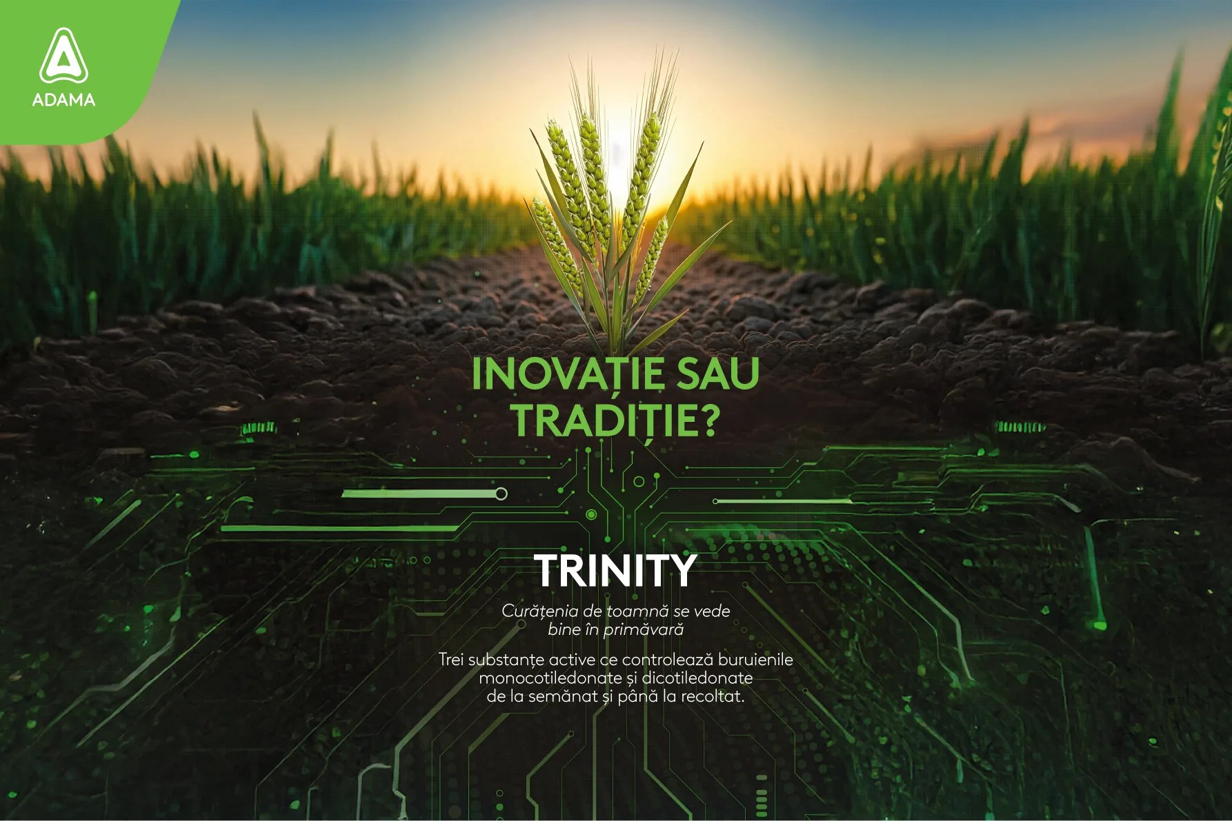 Trinity SC: Curățenia de toamnă care se vede în primăvară