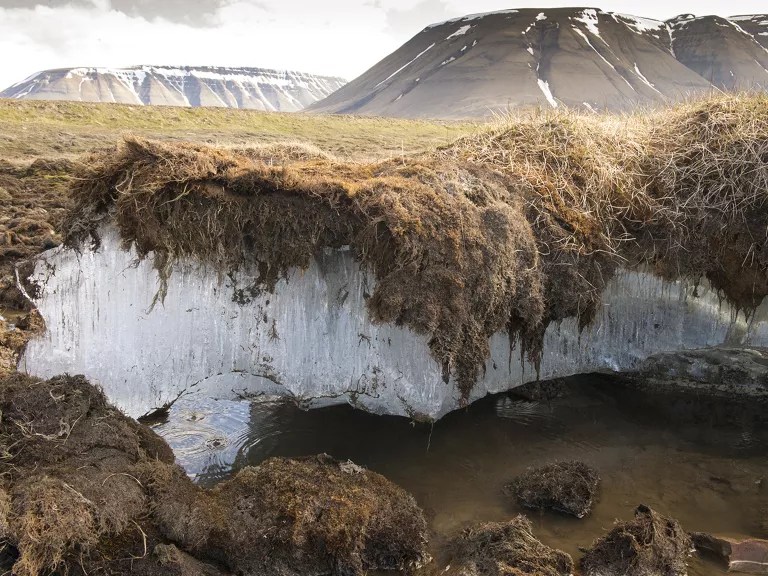 Degelo do permafrost: microrganismos e o futuro do carbono