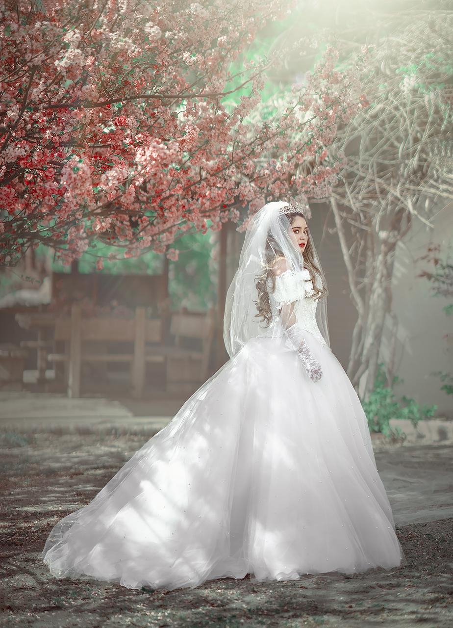 Sofia Siguel Novia final