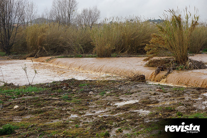 Riu Ripoll (2)