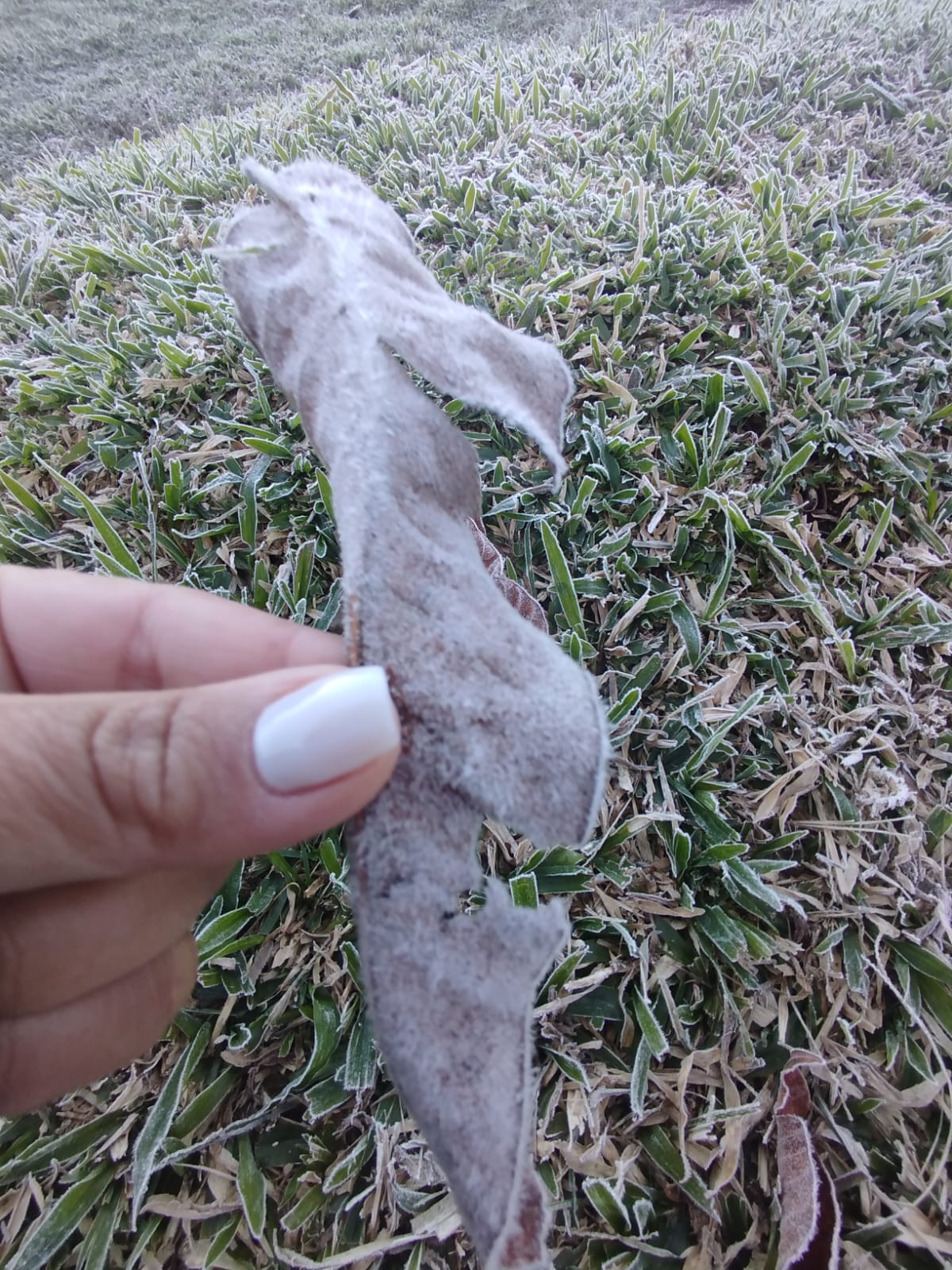 geada bocaina 2