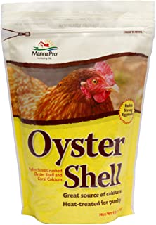 Are Oyster Shells Really Necessary? - Revolutionary Chicken