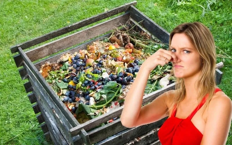 Things to Know About Stinking Compost and Ways to Avoid it