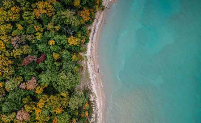 UN Recognizes 10 Pioneering Ecosystem Restoration Initiatives ...