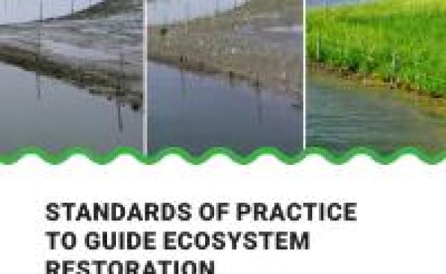 Restoring Our World: Standards Of Practice To Guide Ecosystem ...
