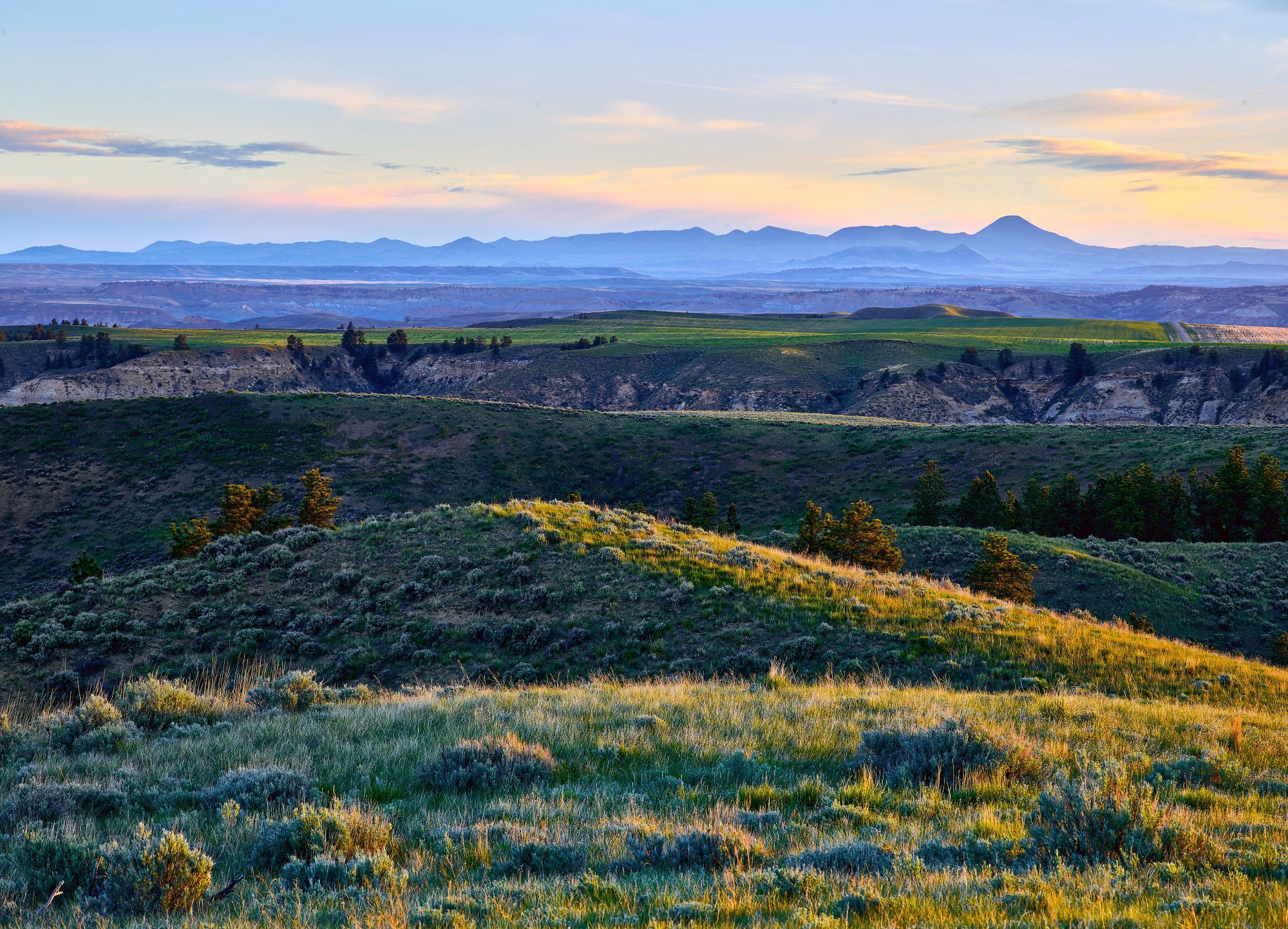 American prairie reserve: rewilding on a large scale