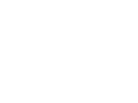 big logo