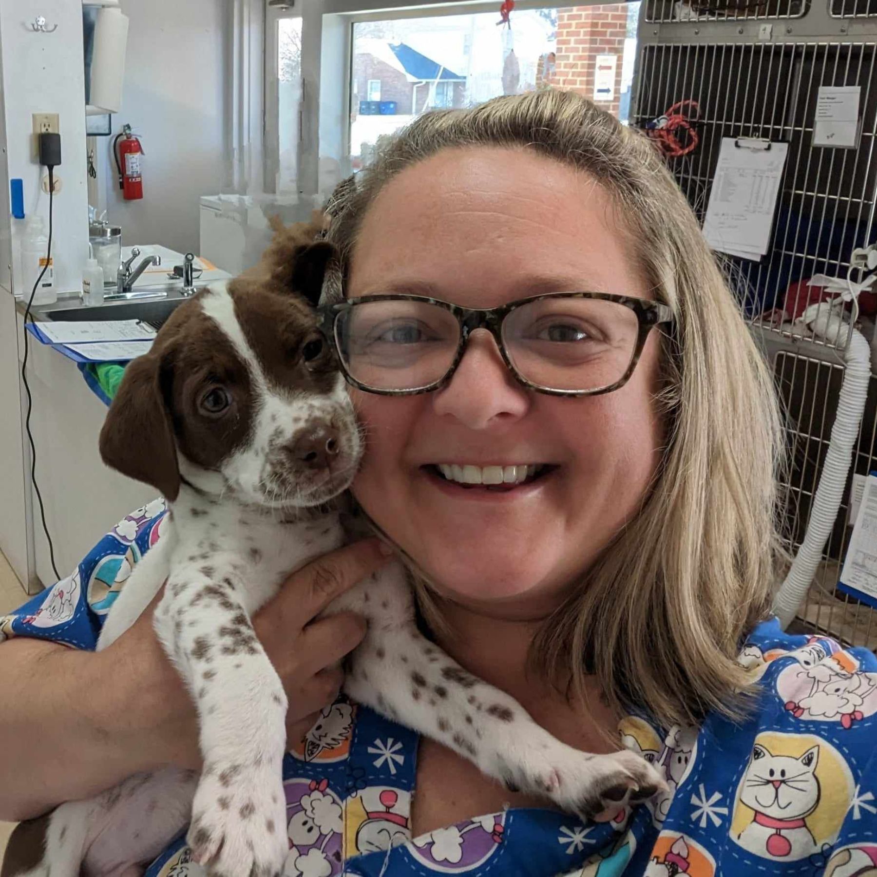 Veterinarian in winston-salem, nc 27106