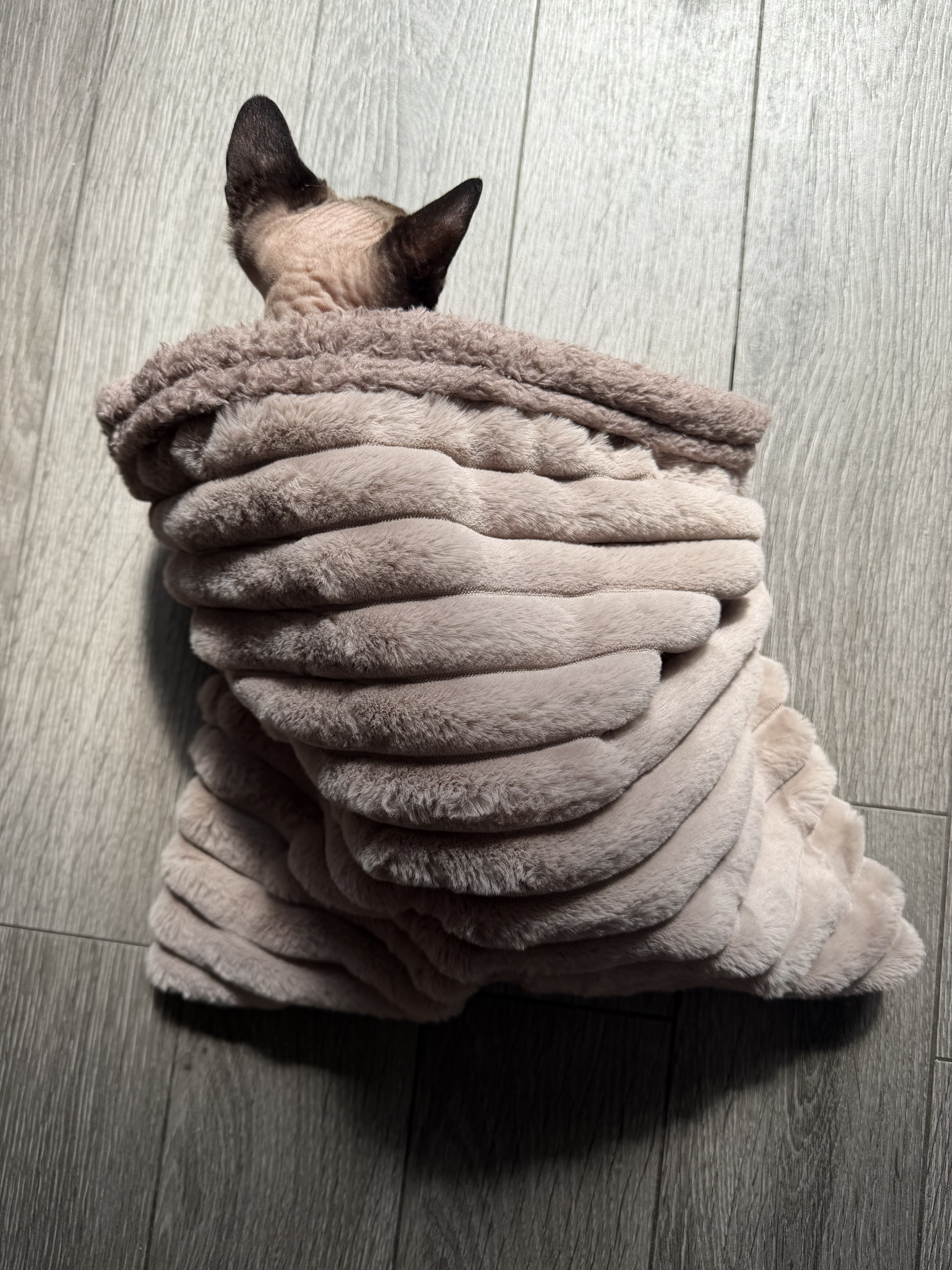 Reversible Sleeping Sack for Sphynx/Small Pets - Image 2