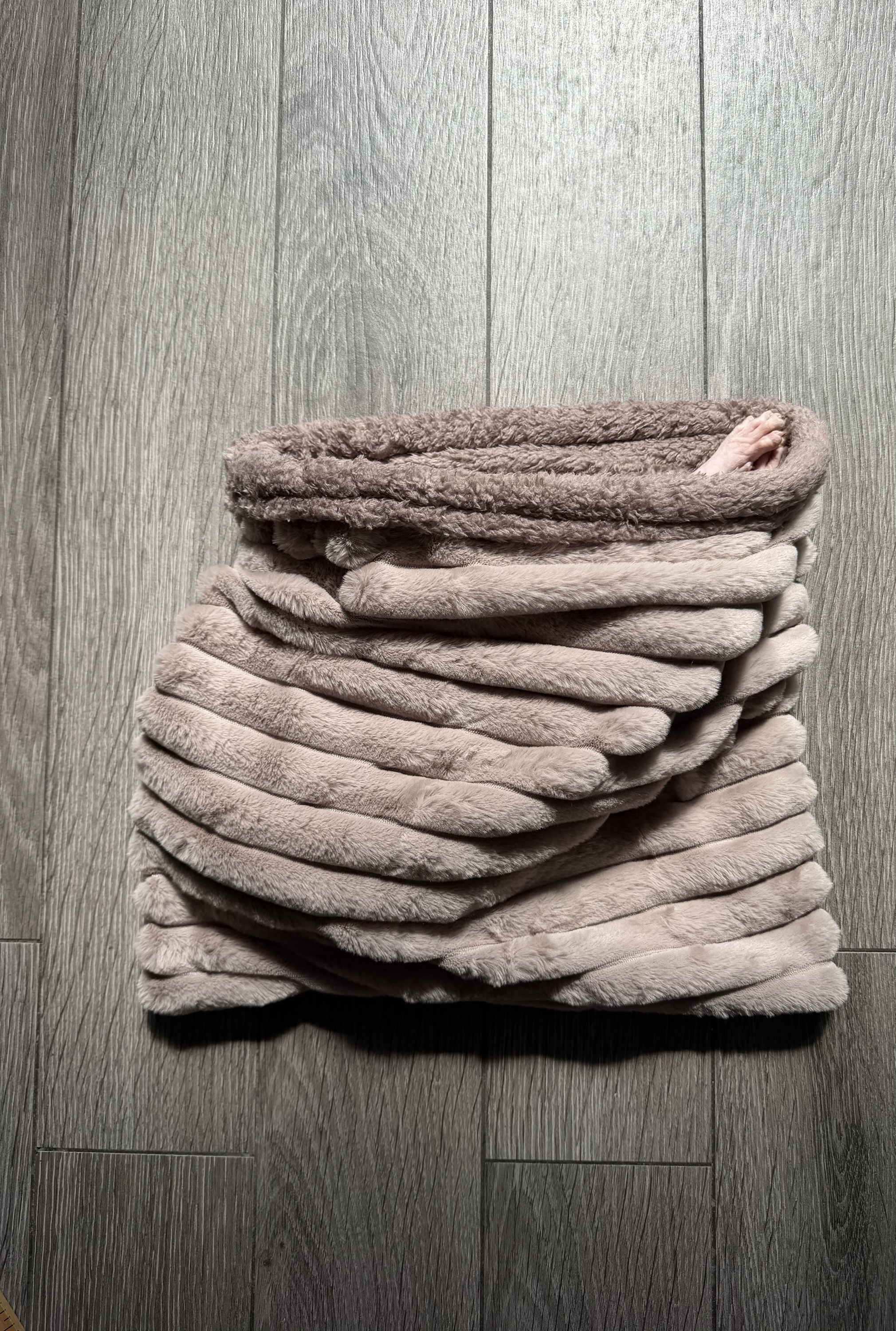 Reversible Sleeping Sack for Sphynx/Small Pets - Image 3