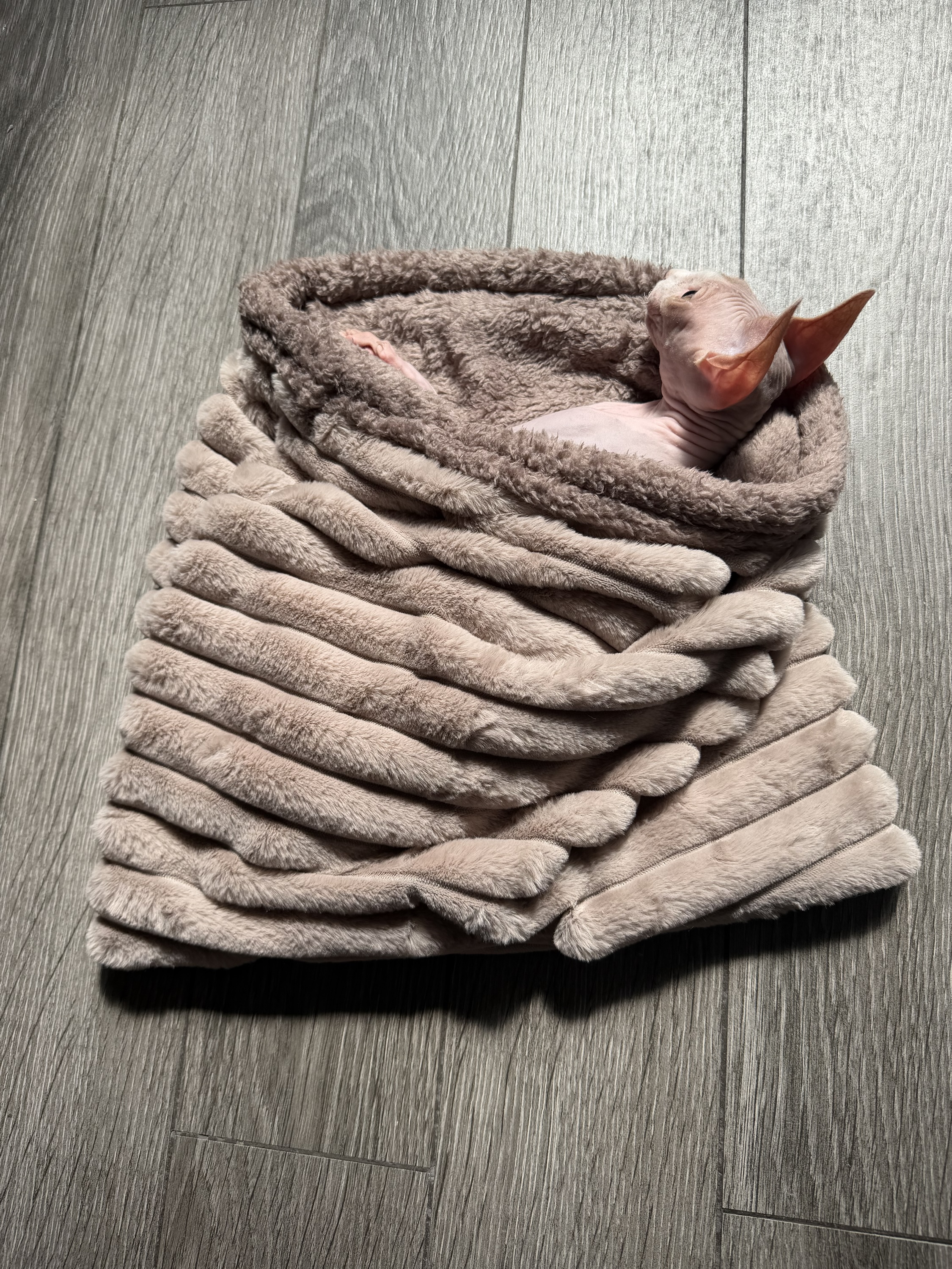 Reversible Sleeping Sack for Sphynx/Small Pets - Image 1