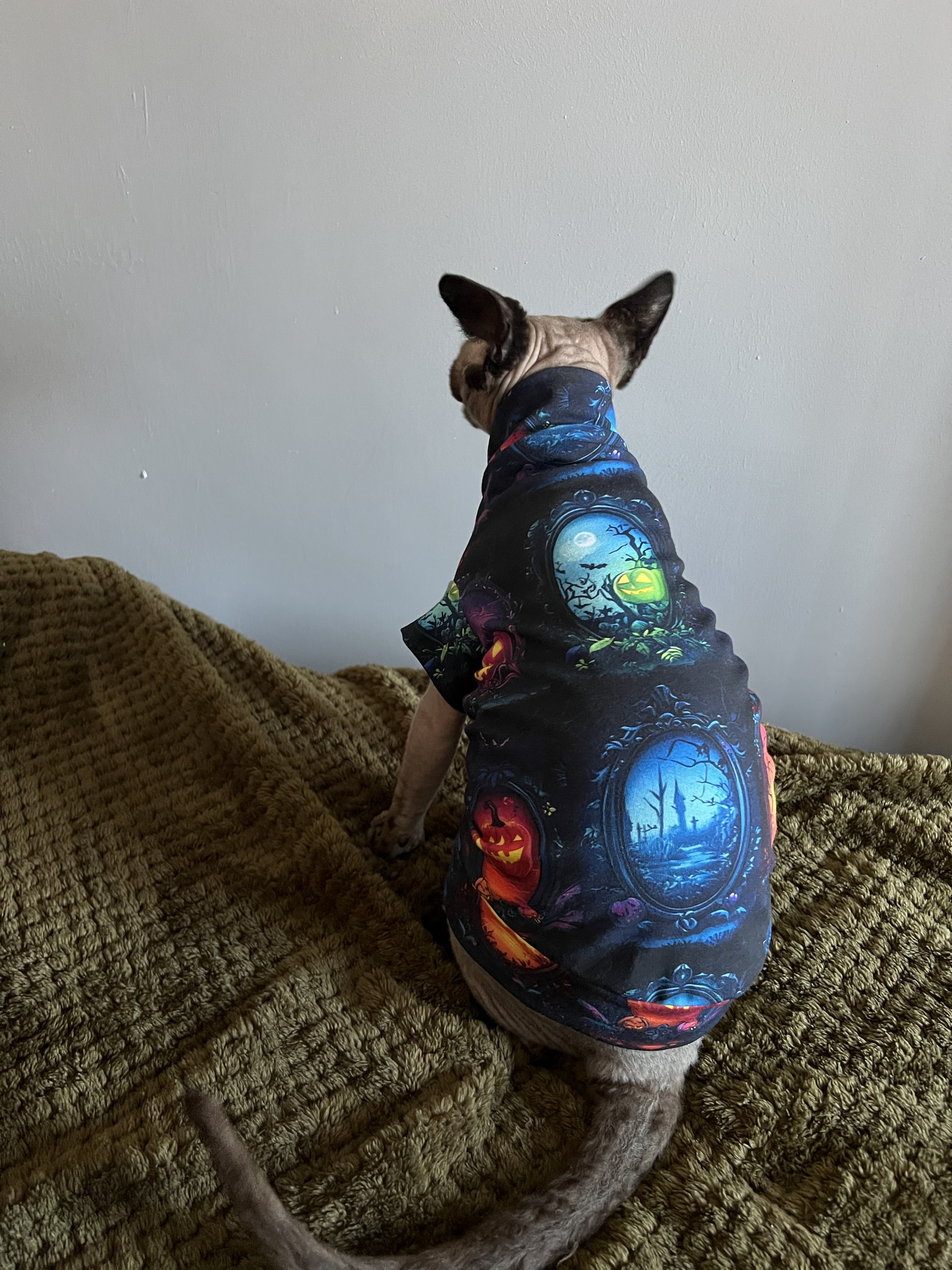 Halloween mirror jumper for Sphynx/Small pets - Image 1