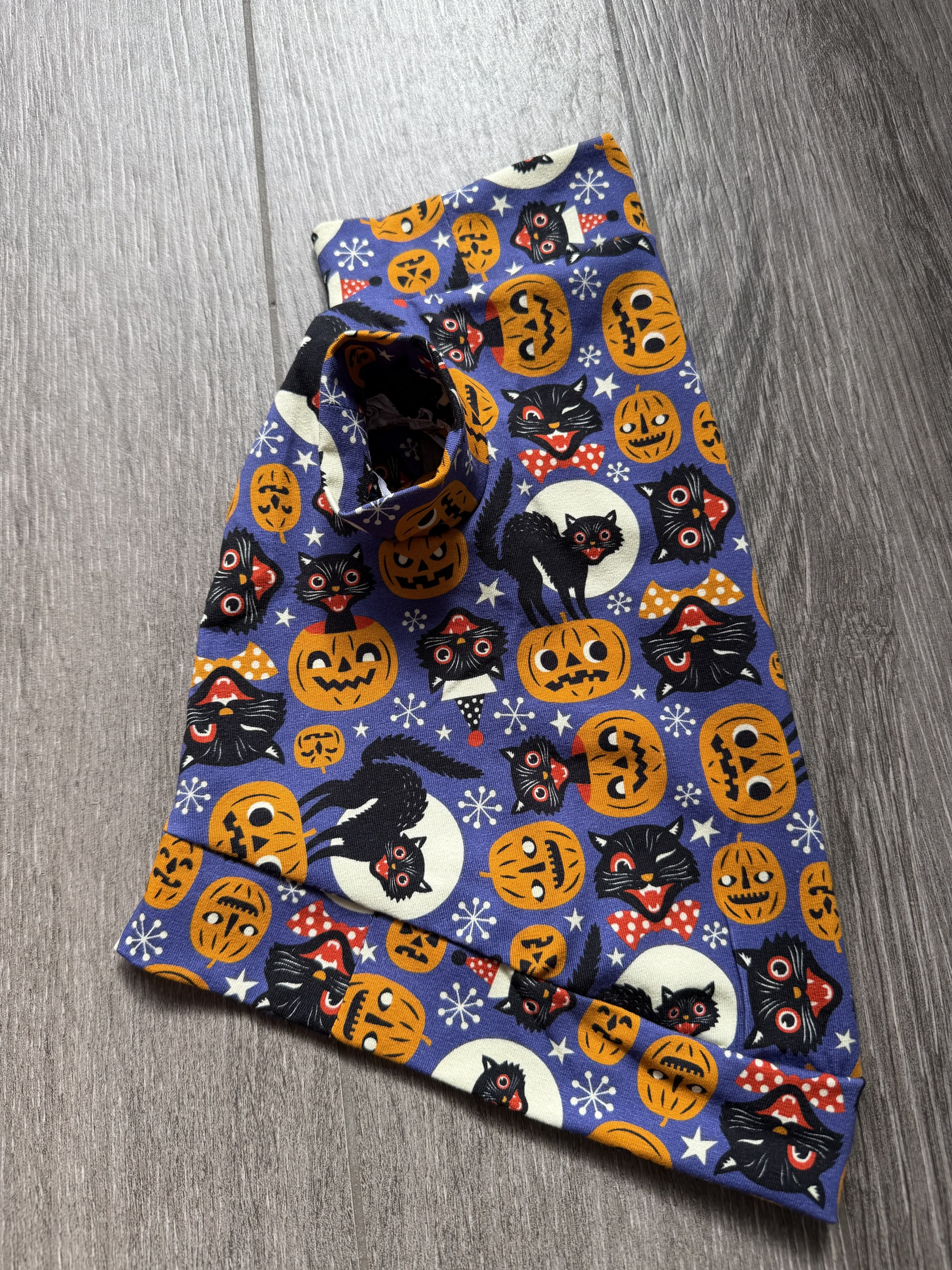 Halloween Cats for Sphynx/ Small Pets - Image 7