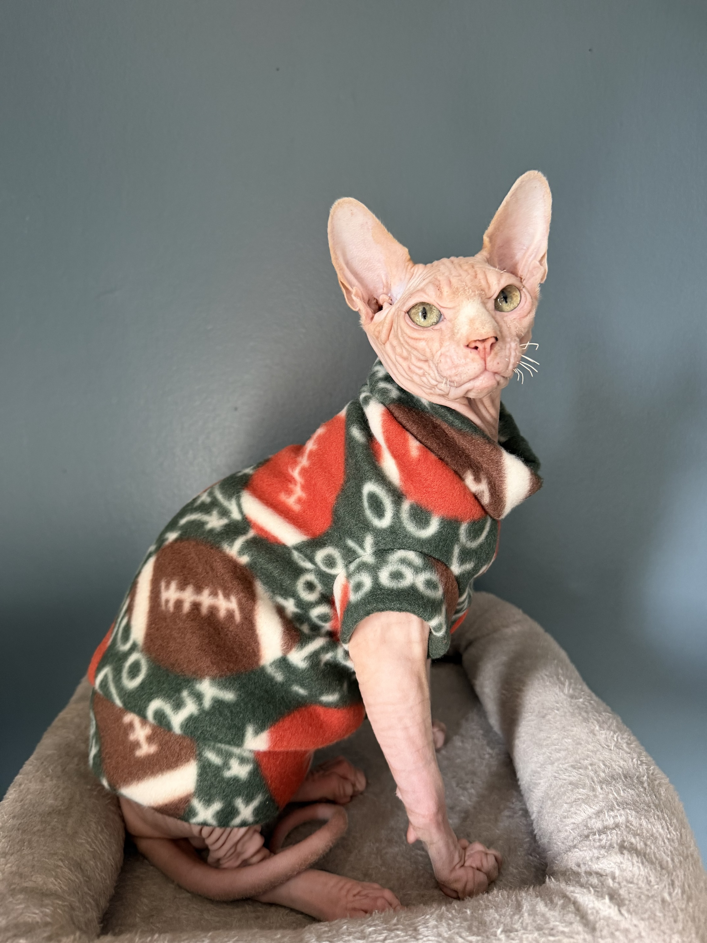 American Football Fleece for Sphynx/Small Pets