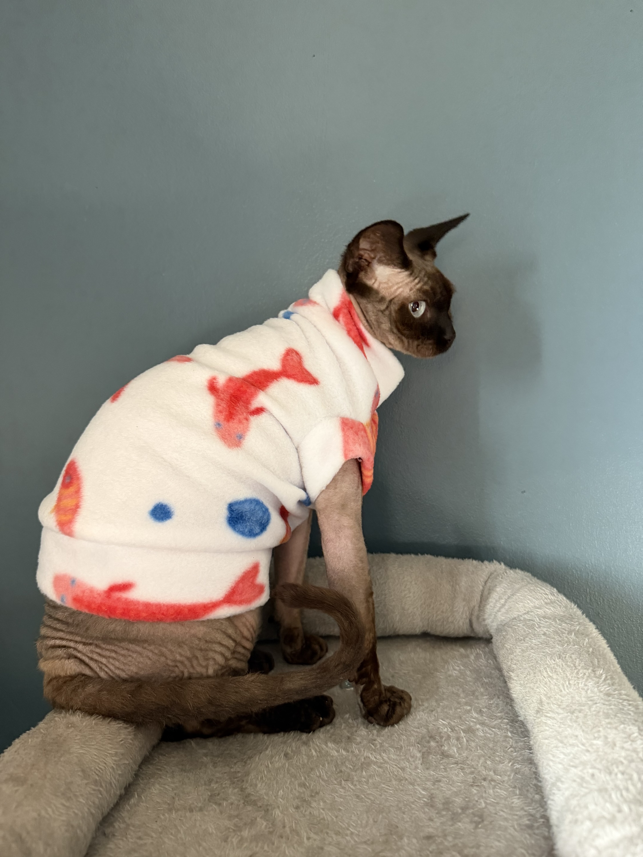 Sea Life Fleece for Sphynx/Small Pets
