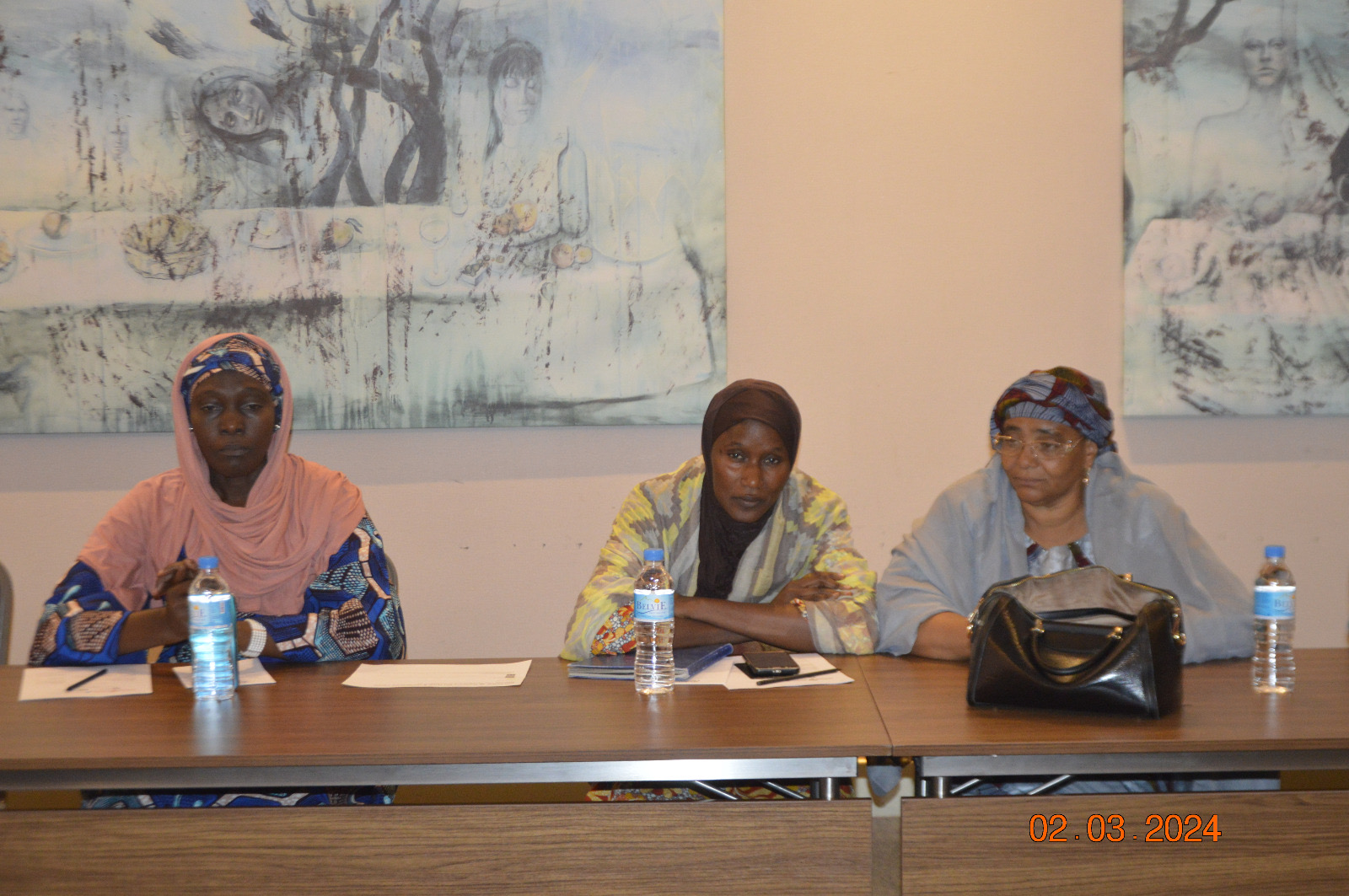 RFLD Drives Action: Leading Women NGOs in Niger Chart Course for Maputo Protocol Ratification