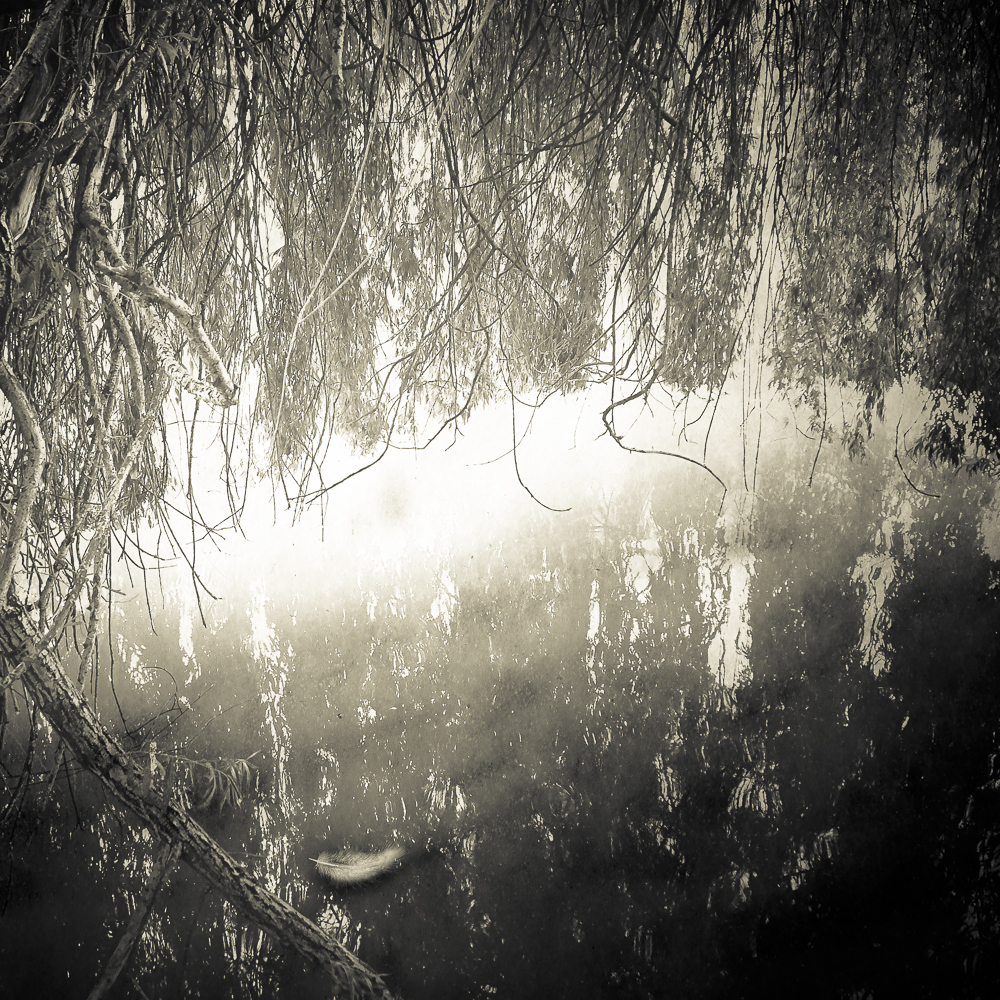 Timeless © Nicola Hackl-Haslinger