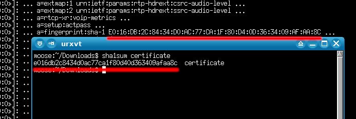 Github Faless Gd Udp Dtls Example Udp Dtls Client Server Example For - Premium Sunset Art Gallery - Retina