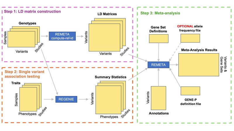 Covariates Issue 390 Rgcgithub Regenie Github - Premium Colorful Background Gallery - 8K