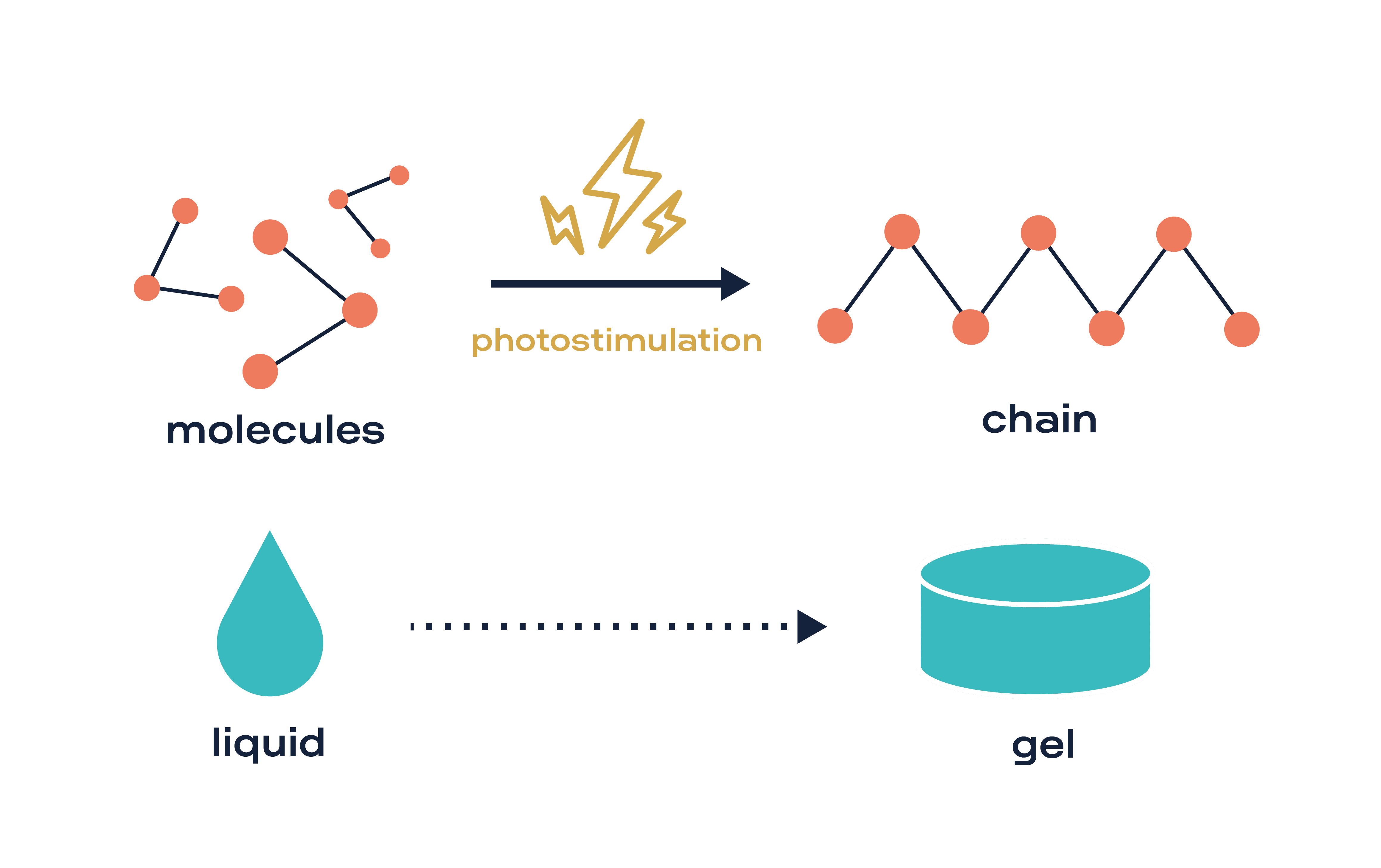 Light-induced transformation of hydrogels for biomedical applications