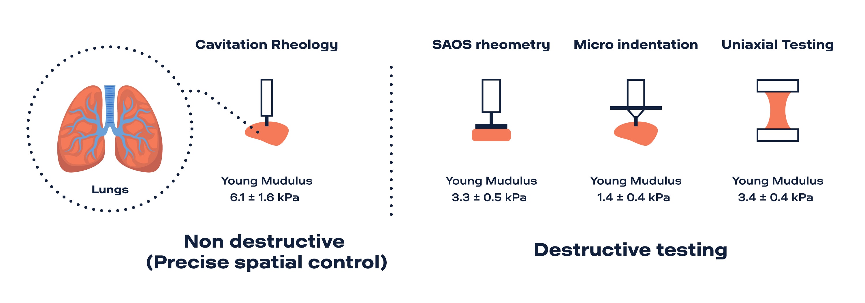 Caviation Rheology Young Mudulus Non destructive testing