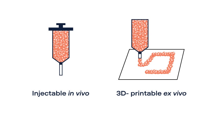 Illustration of Injectable in vivo and 3D-printable ex vivo