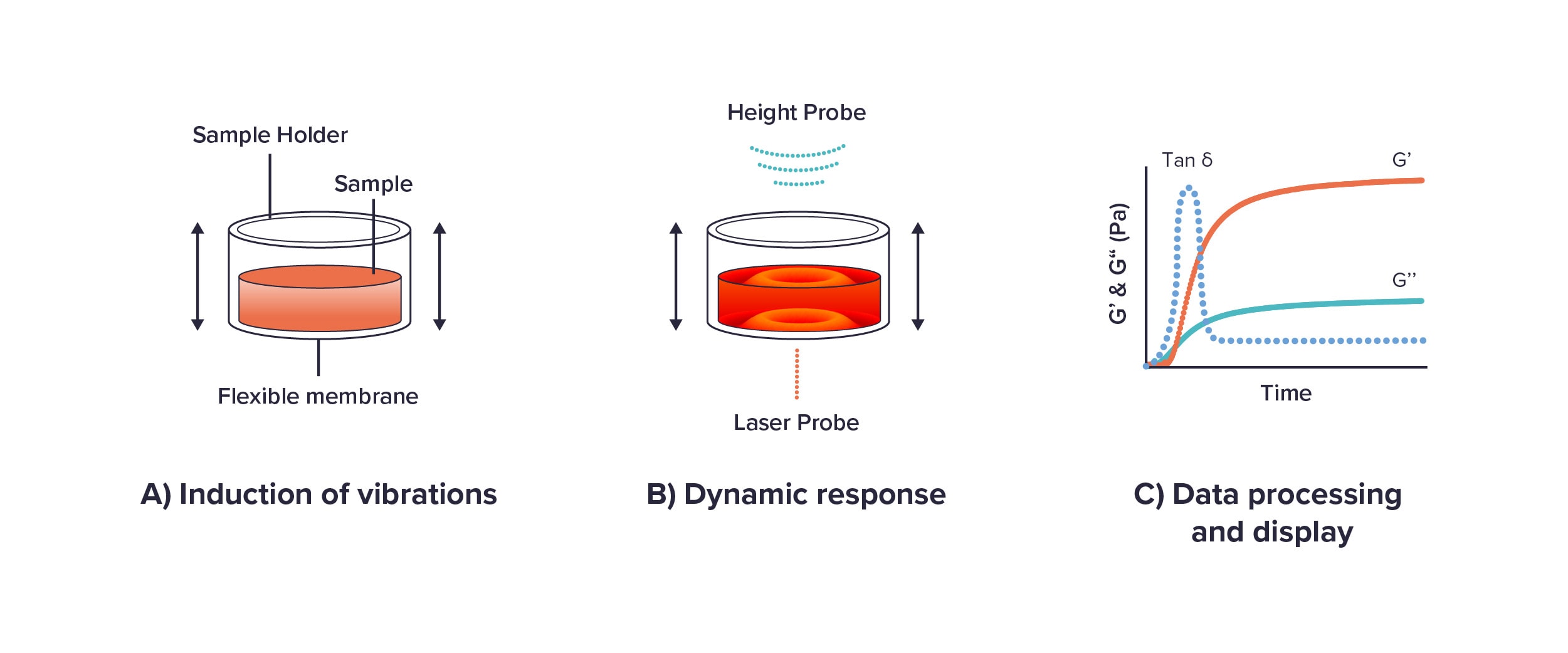 A: Bilayered system in ElastoSens™ Bio chamber, B: Resonance monitoring, C: Data processing in software.