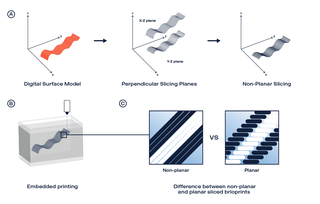 A: Non-planar 3D slicing, B: FRESH printing process, C: Comparison of non-planar and planar printing