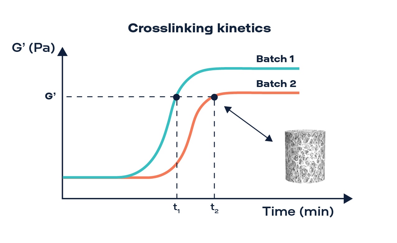 Comparison of hydrogel stiffness in two batches.