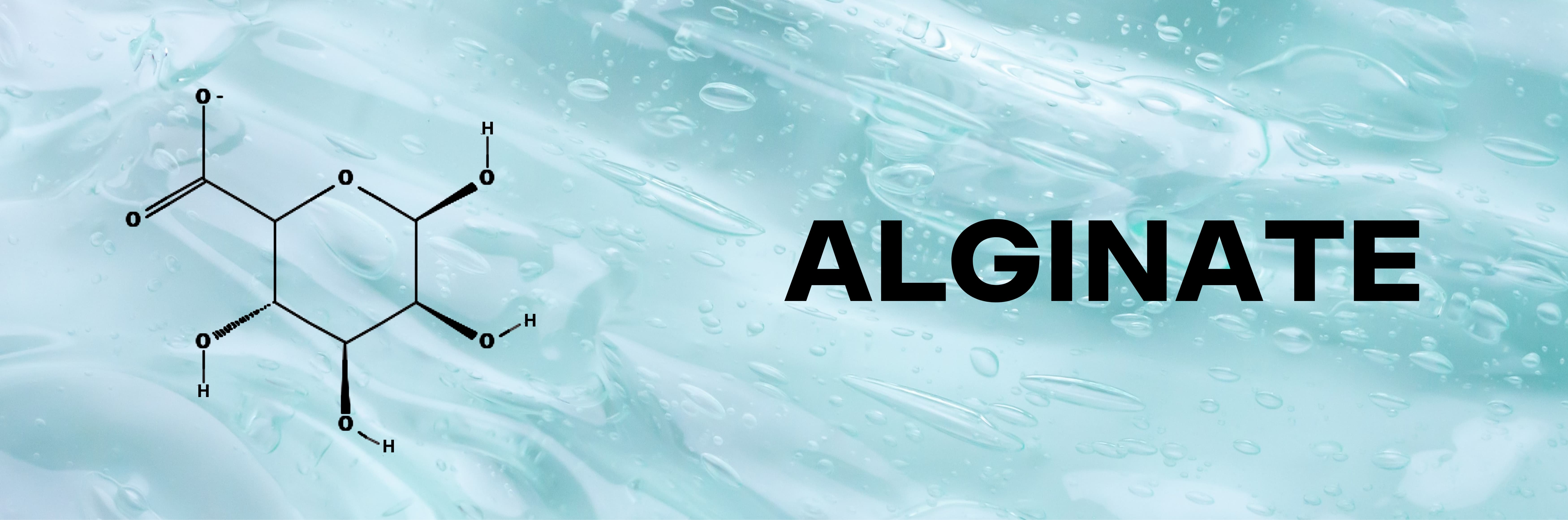 Alginate Hydrogel