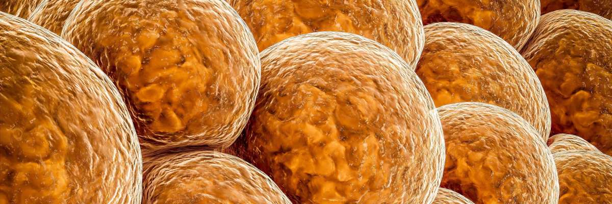 Measuring mechanical properties of adipose tissue