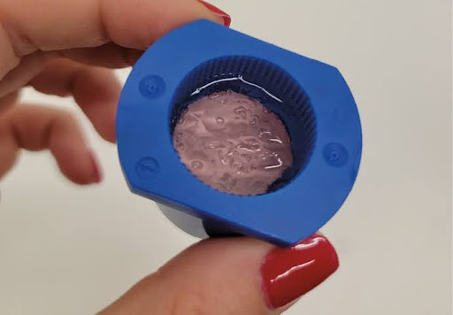 Alginate gel in the holder after testing.