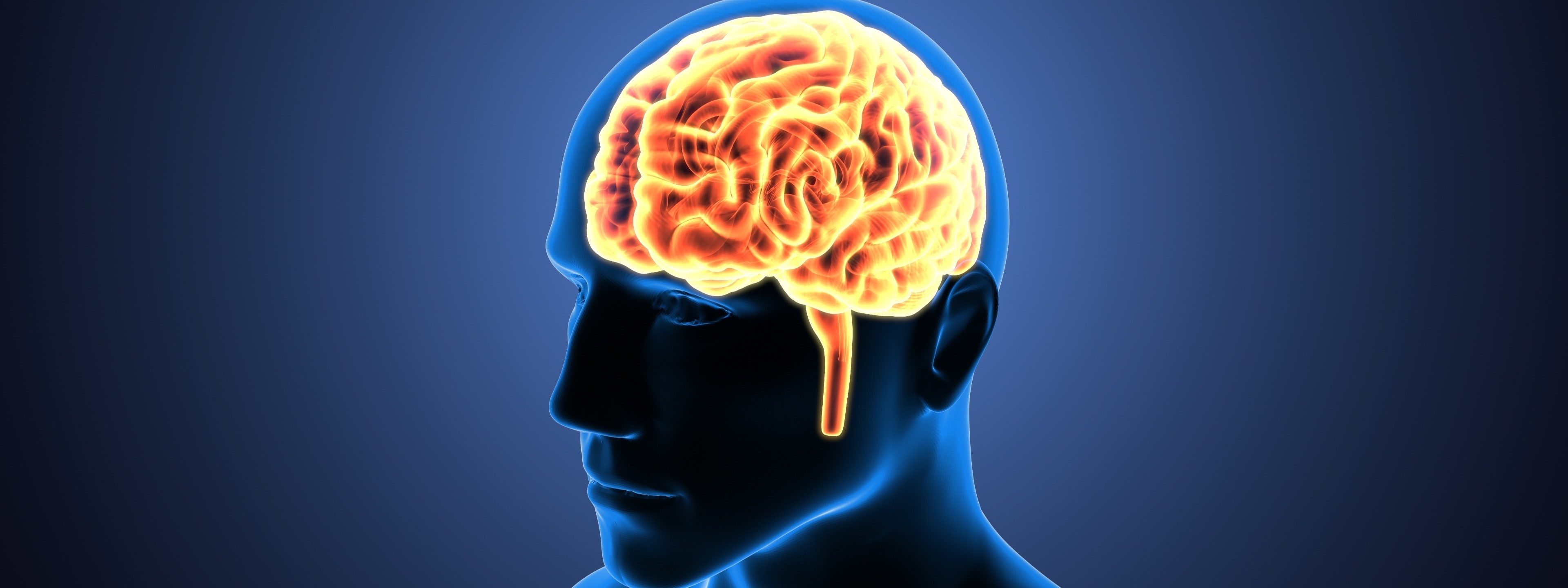 Measuring mechanical properties of brain tissue