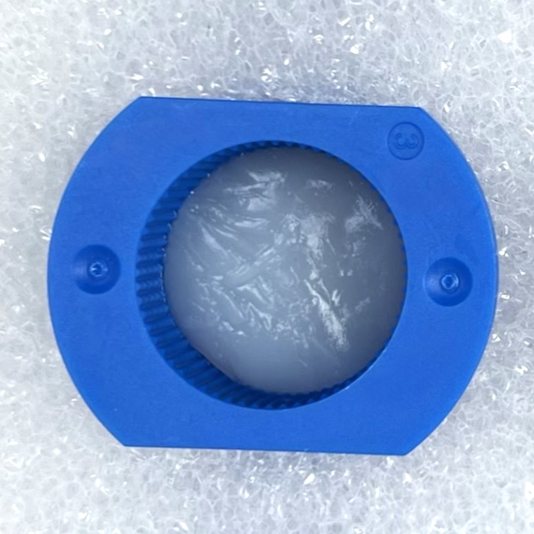 Representative image of the gel formed inside the sample holder. High G′ and low tan δ values indicate a predominantly elastic and stable hydrogel network.