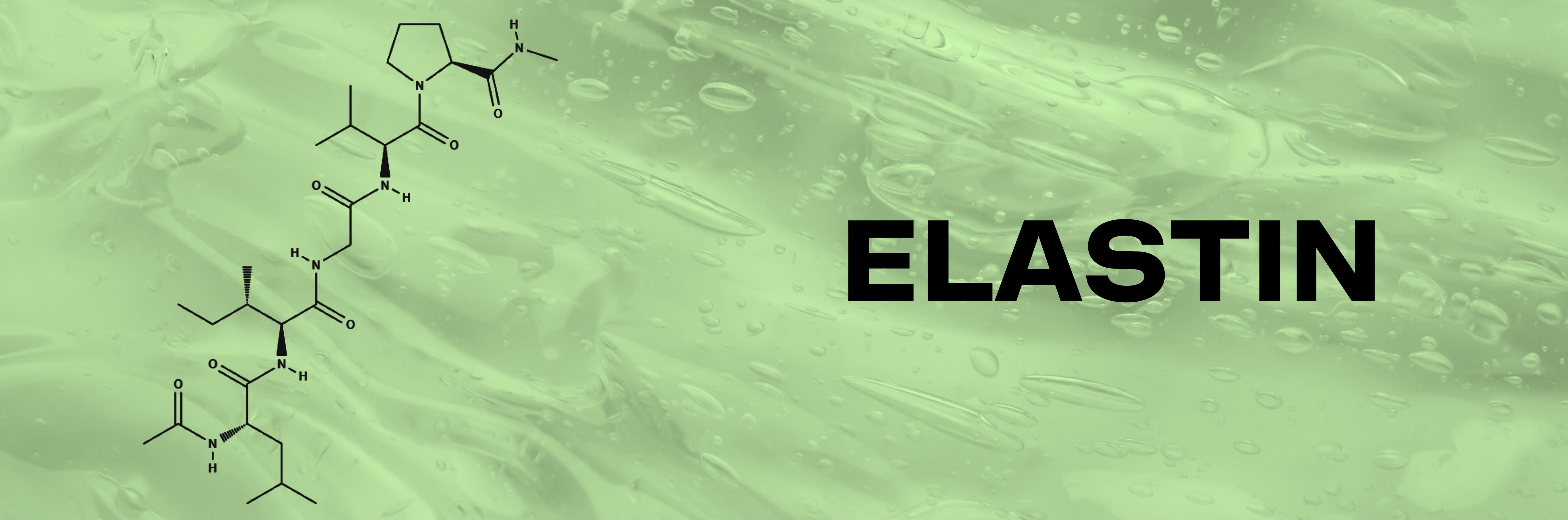 Elastin Hydrogel