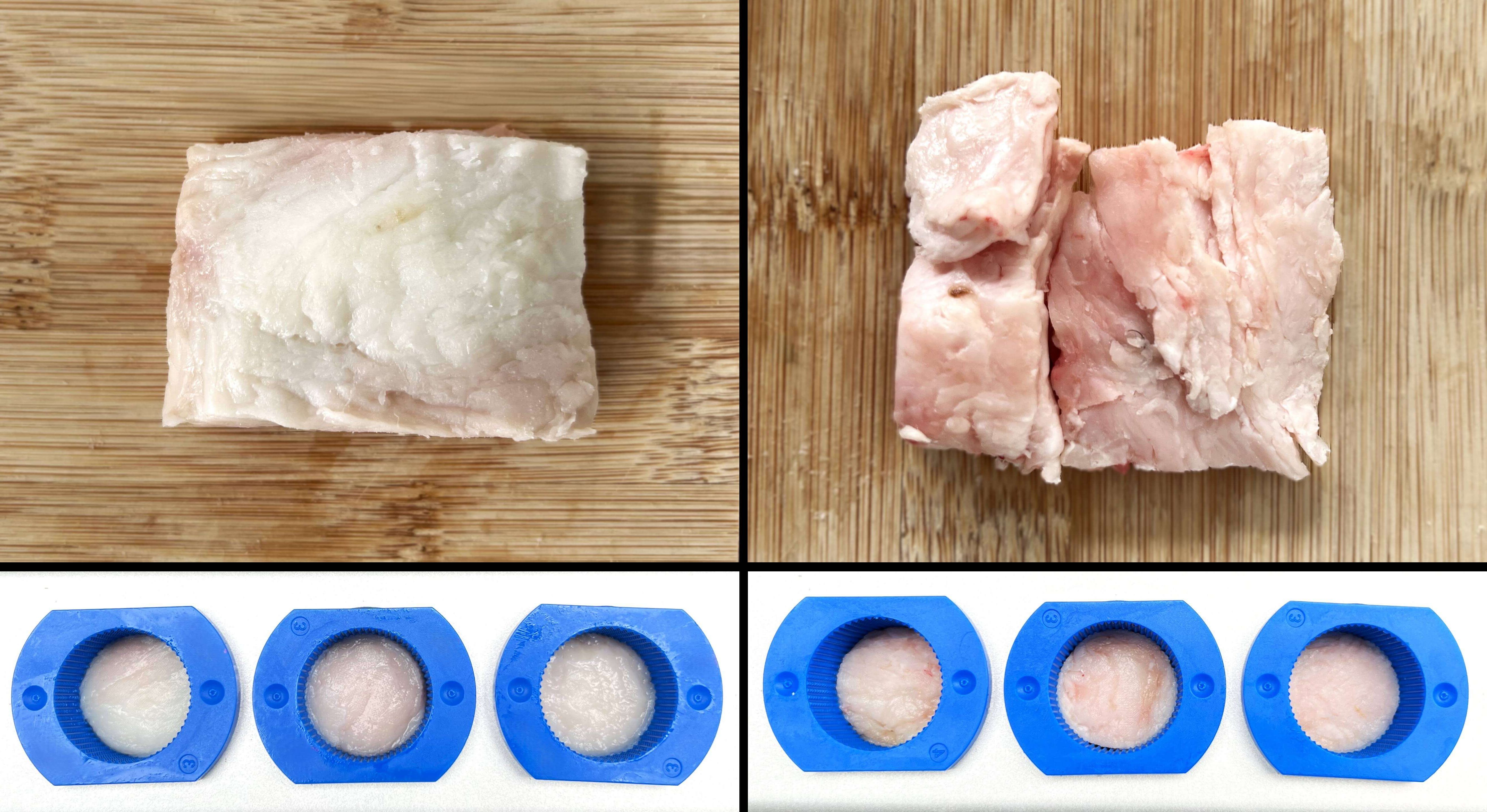 Sheep fat (left) and cow fat (right) prepared and loaded into the ElastoSens™ Bio macro holders for non-destructive viscoelastic characterization. The top panel shows the intact fat sample prior to sectioning, and the bottom panel shows representative fat portions placed in the holders for testing.