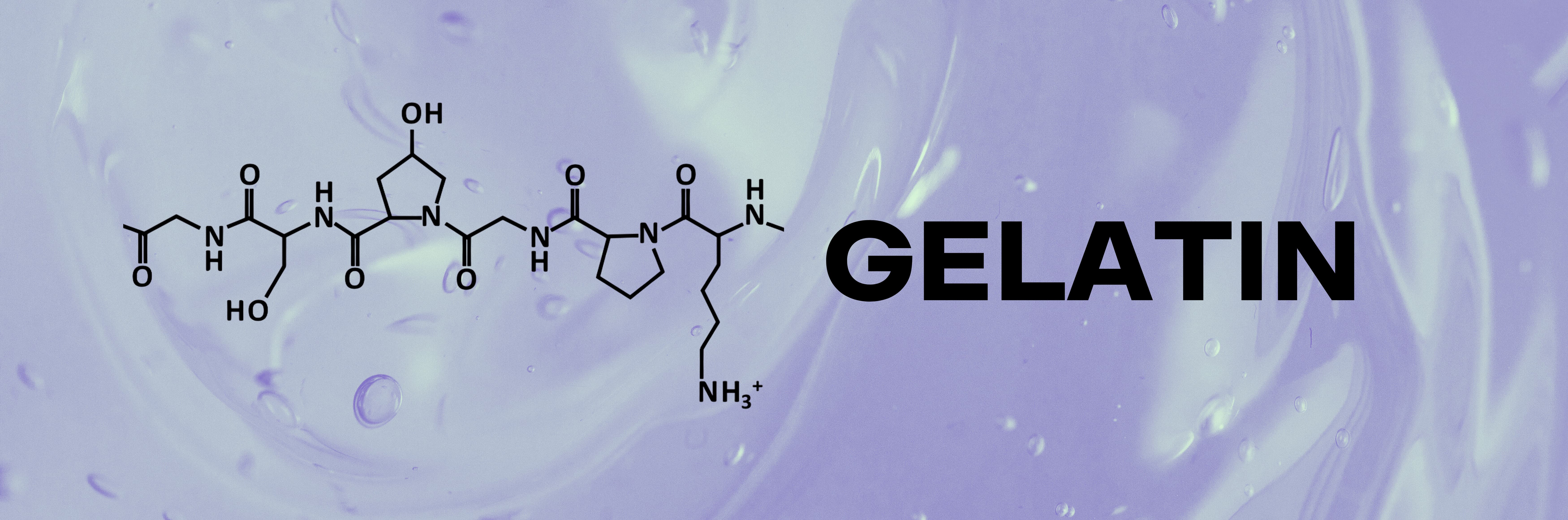 Gelatin Hydrogel