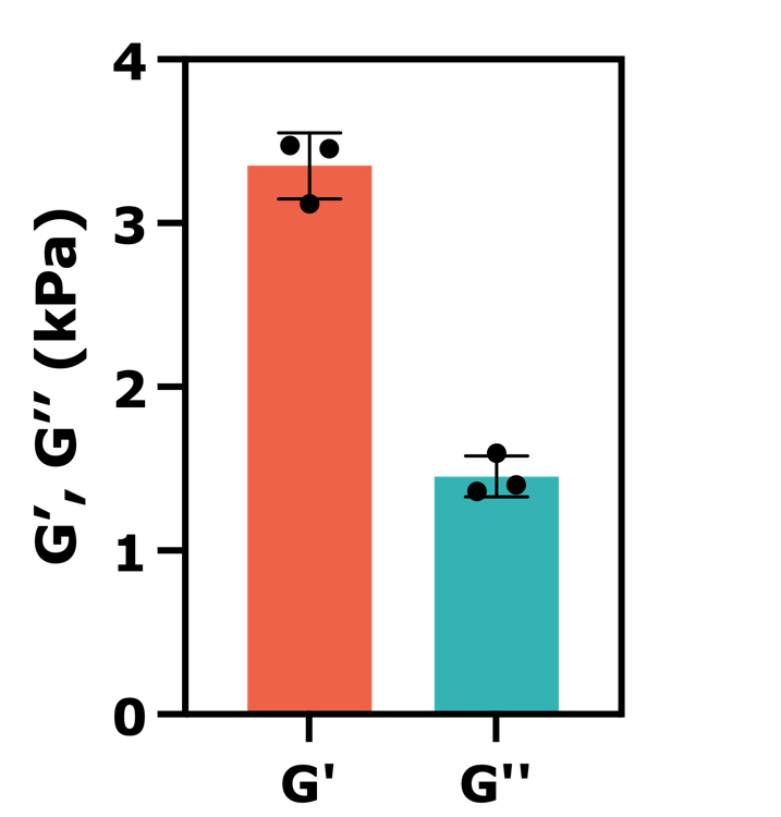 Viscoelastic properties of porcine belly secondary lean layer: shear storage modulus (G′) and shear loss modulus (G’’) obtained with the ElastoSens™ Bio non-destructive testing system (mean ± SD, n=3).