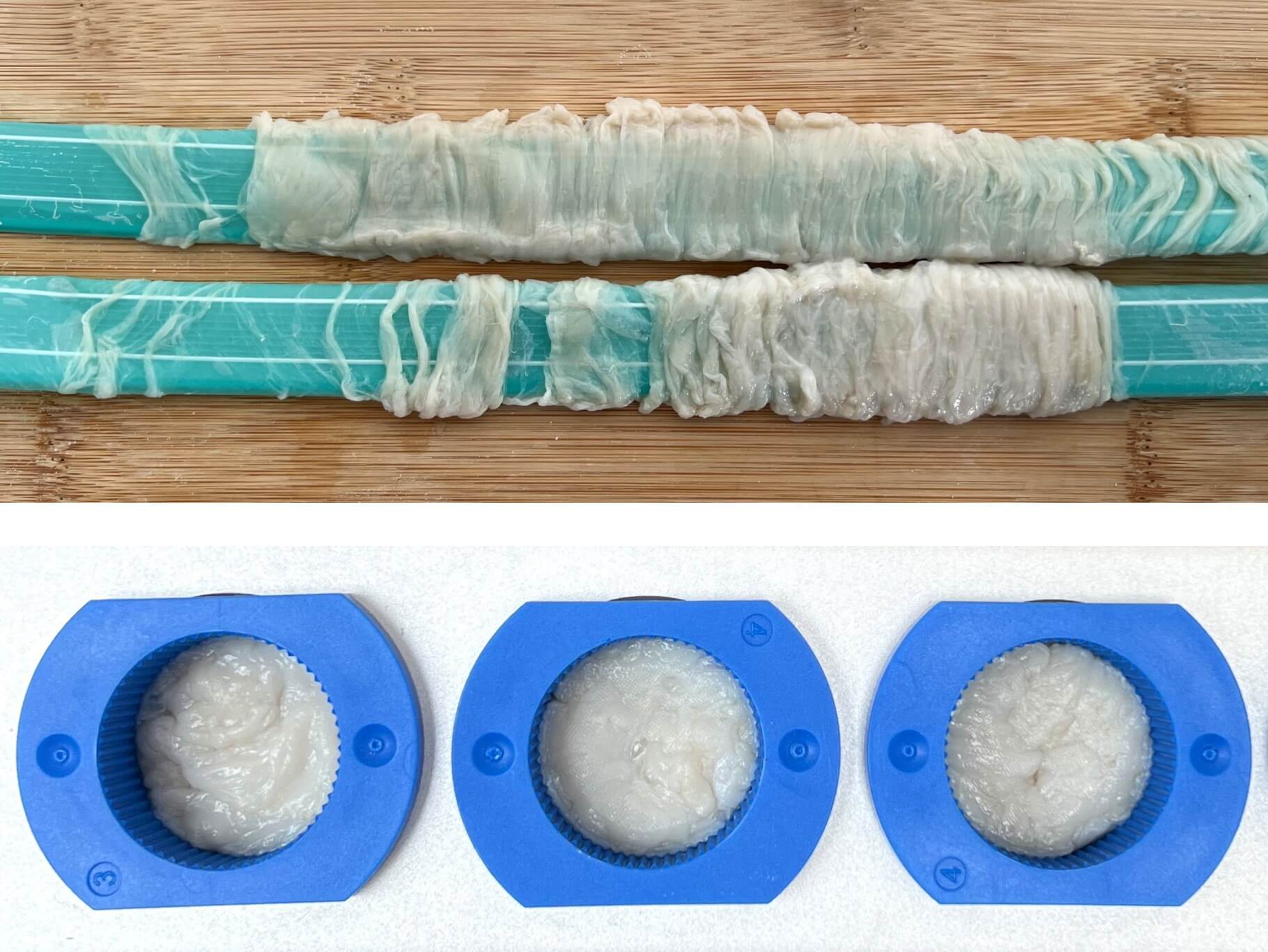 Sheep intestine prepared and loaded into the ElastoSens™ Bio macro holders for non-destructive viscoelastic characterization. The top panel shows the intact intestine sample prior to sectioning, and the bottom panel shows representative intestine portions placed in the holders for testing.