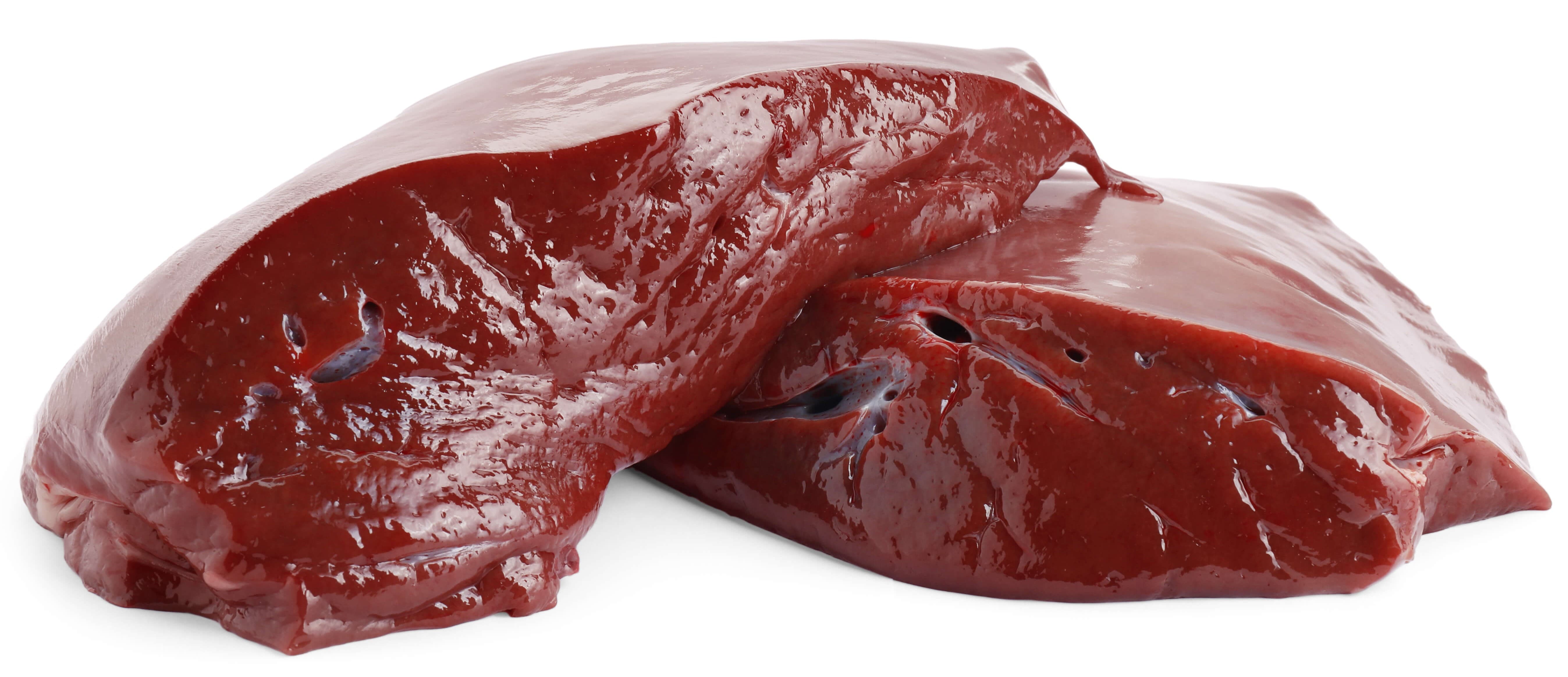 Liver tissue sample.
