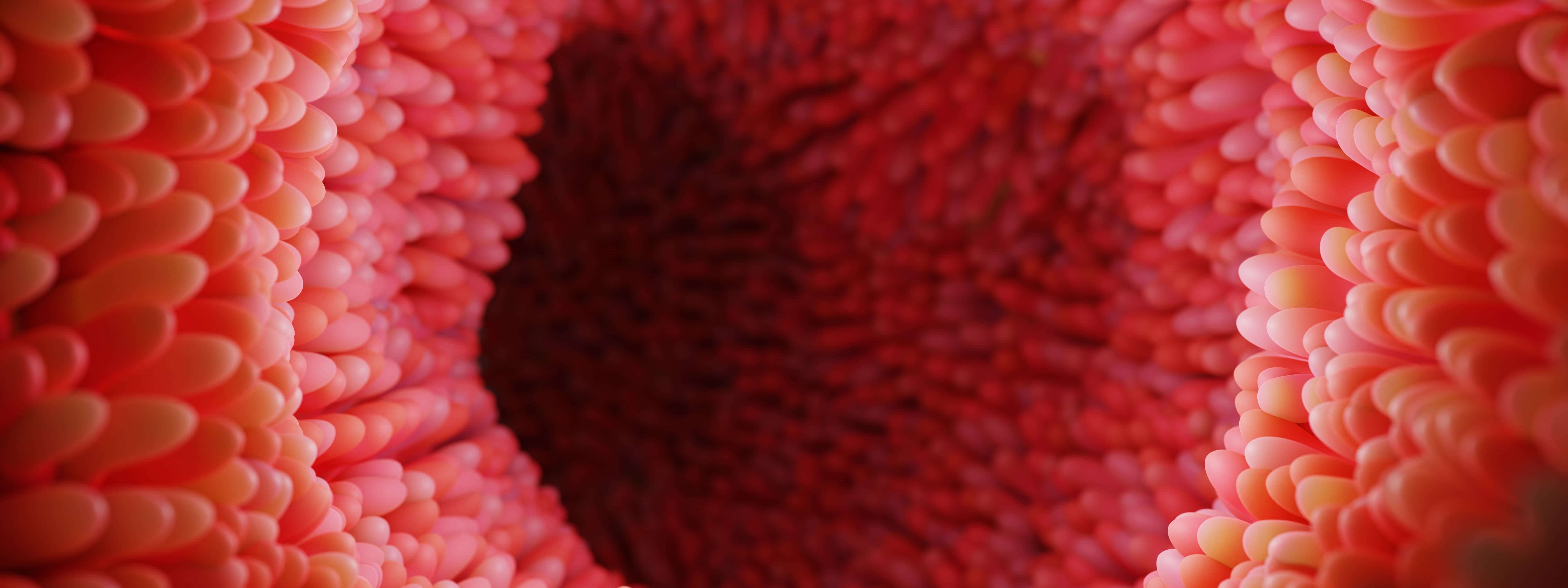 Measuring mechanical properties of intestine tissue