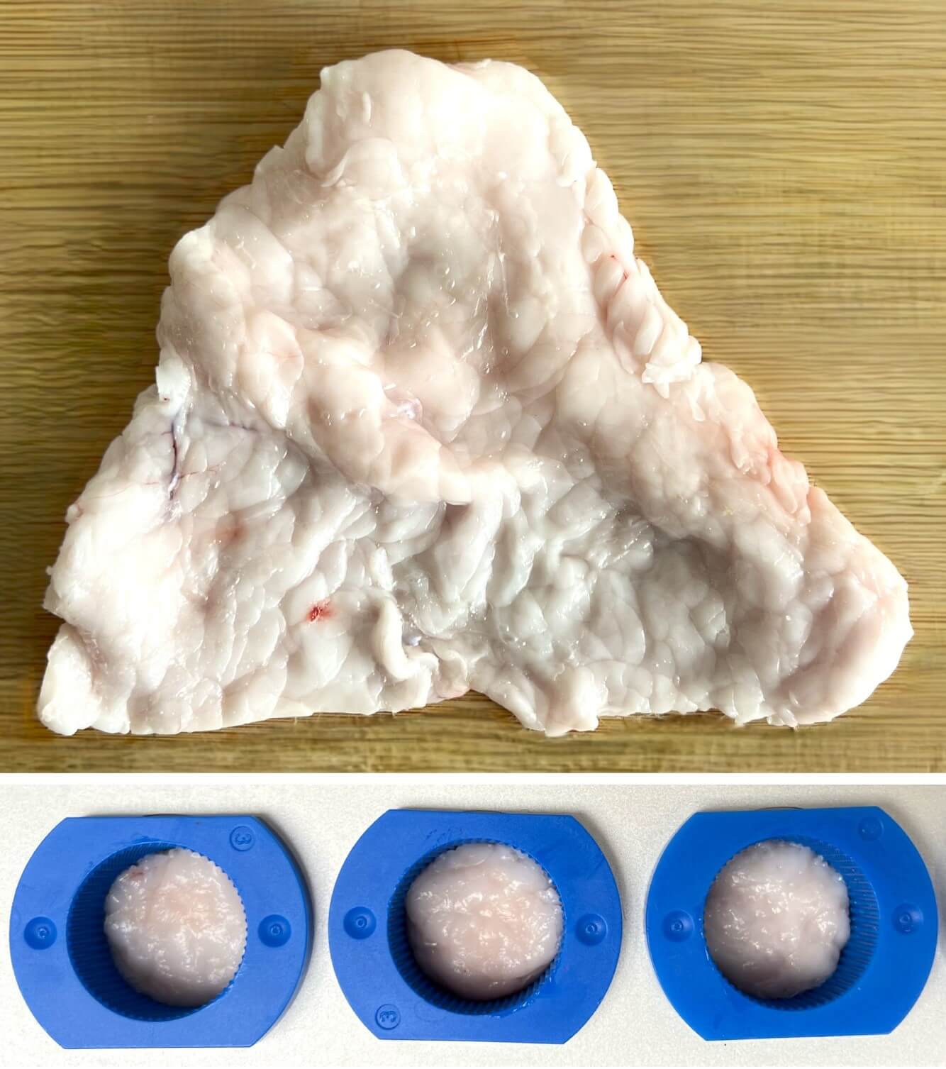 Porcine peritoneal fat tissue prepared and loaded into the ElastoSens™ Bio macro holders for non-destructive viscoelastic characterization. The top panel shows the intact peritoneal fat sample prior to sectioning, and the bottom panel shows representative peritoneal punch fixed in the the holders for testing.