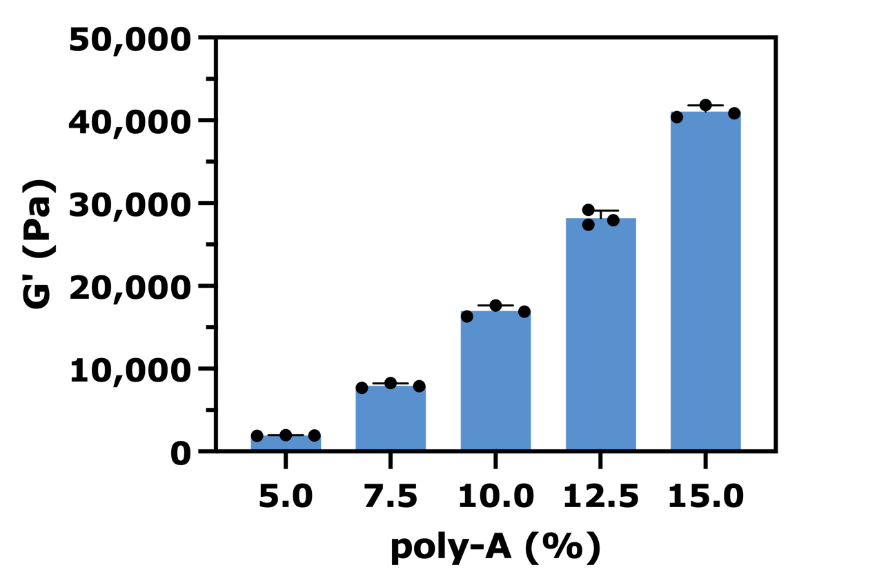 Graph: Shear storage modulus (G′) of polyacrylamide (poly-A) hydrogels as a function of polymer concentration (5–15% w/v), measured using the μ-volume sample holder of the ElastoSens™ Bio. Bars represent mean ± SD (n = 3).