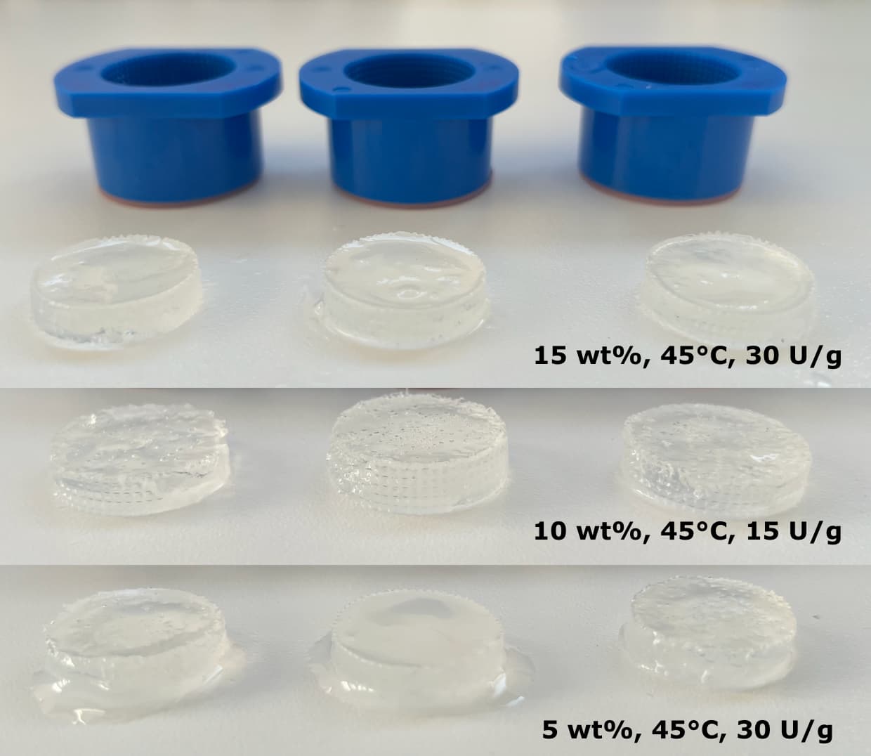 Sample Holder with Sample