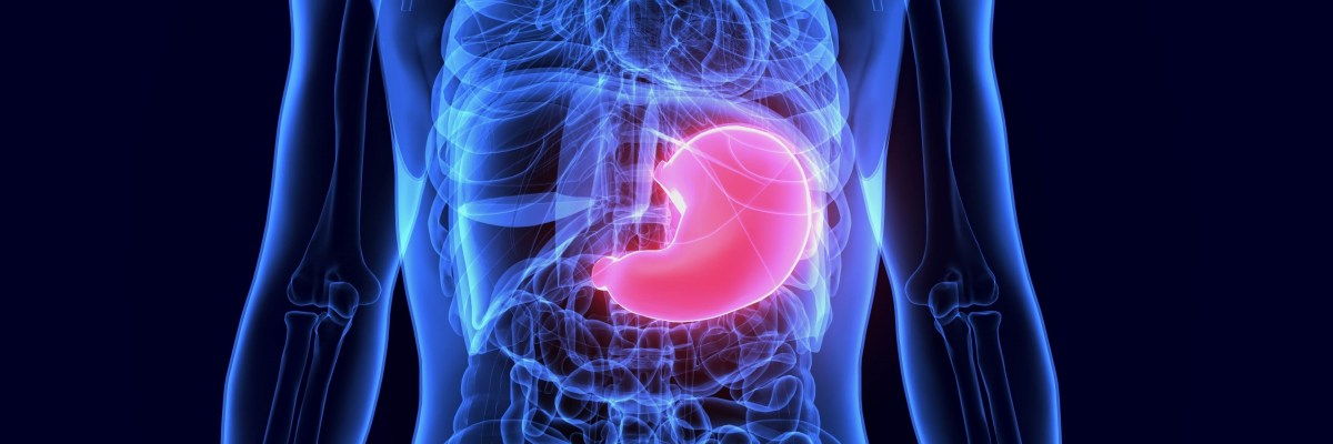 Measuring mechanical properties of stomach tissue
