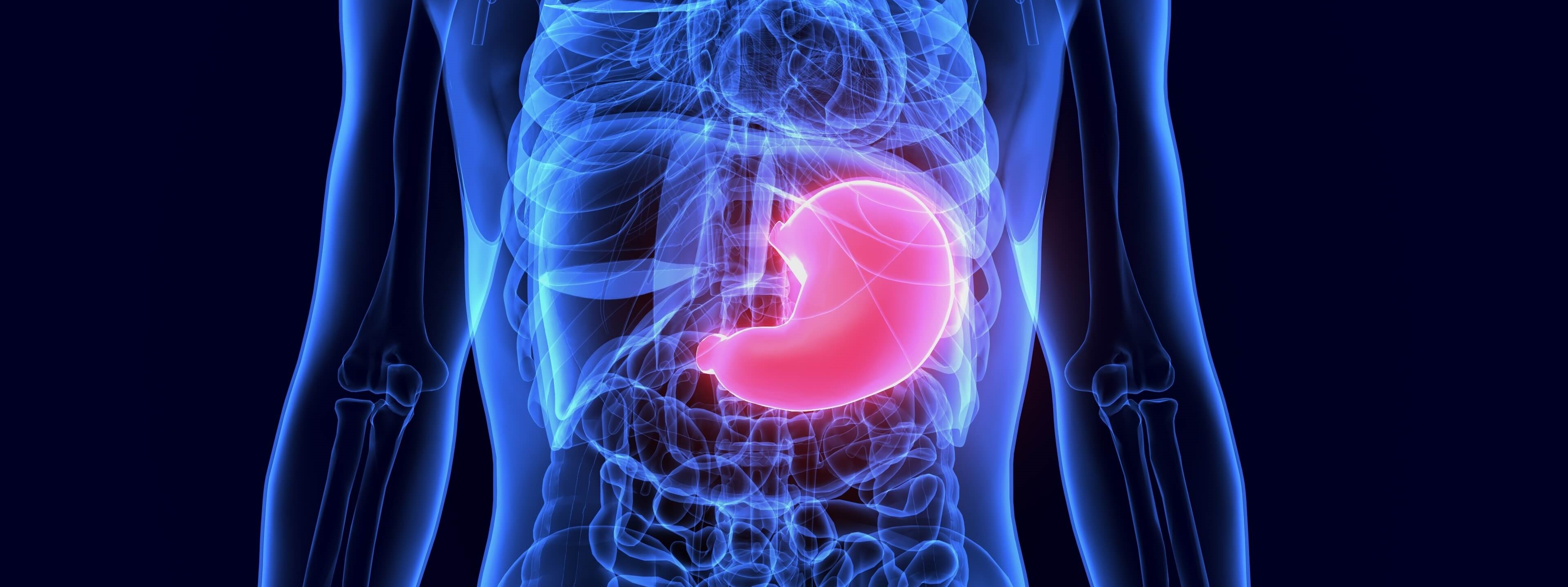 Measuring mechanical properties of stomach tissue