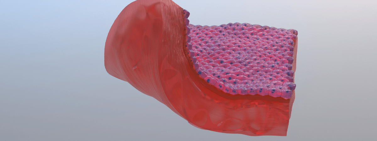 Microscopic view of biological membranes showing cellular structure details.
